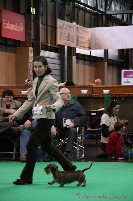 Crufts2011_2 1348.jpg